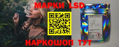 спиды Новодвинск