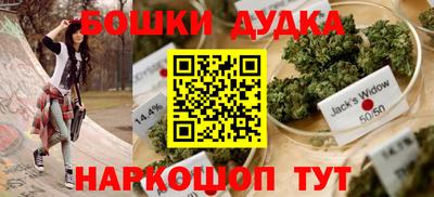 спиды Новодвинск