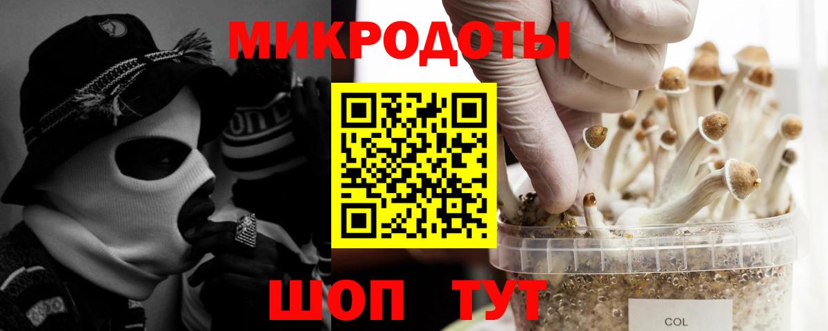 Псилоцибиновые грибы Magic Shrooms  Вход с VPN  Партизанск 